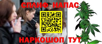 индика Кинель