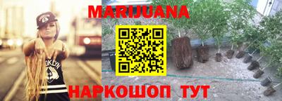 индика Кинель