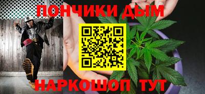 индика Кинель