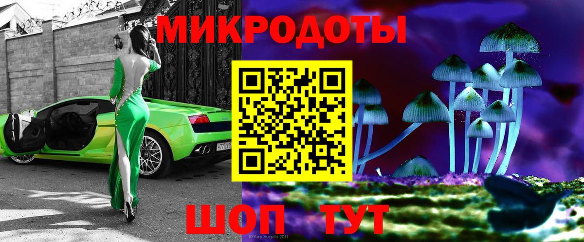 Тулун  Галлюциногенные грибы Psilocybe  Галлюциногенные грибы Psilocybine cubensis  Вход с VPN 