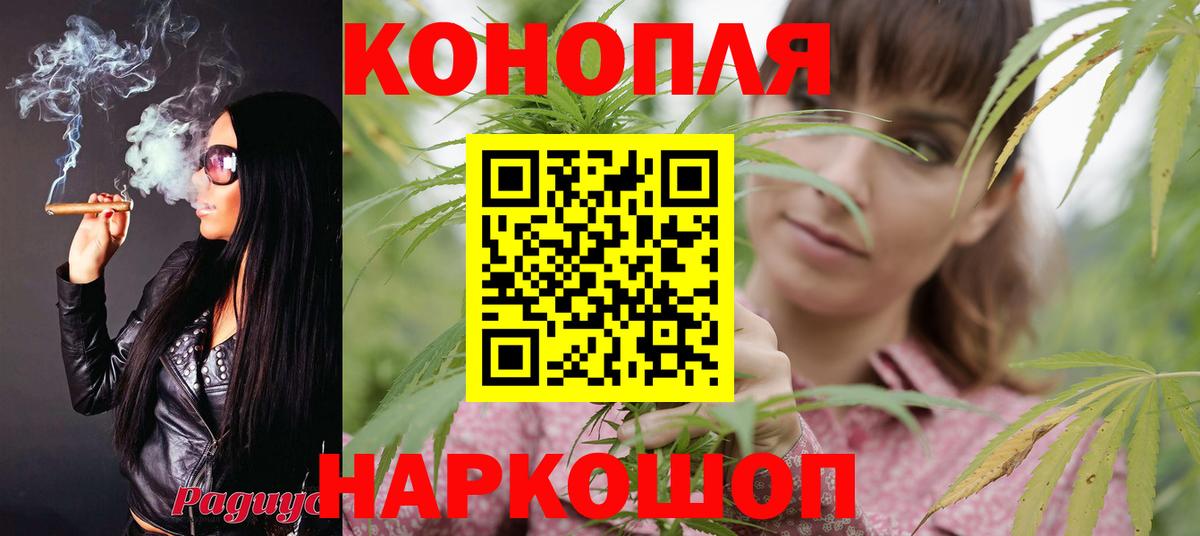 Бошки марихуана семена  Марихуана сатива  Вход с VPN  Марихуана планчик  Тулун 